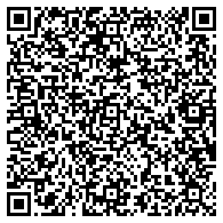 QR-код с контактной информацией организации ООО А9 Энерджи
