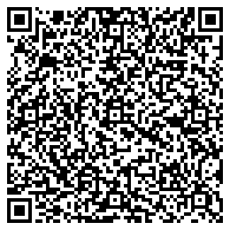 QR-код с контактной информацией организации Бизнес (Закрыто)