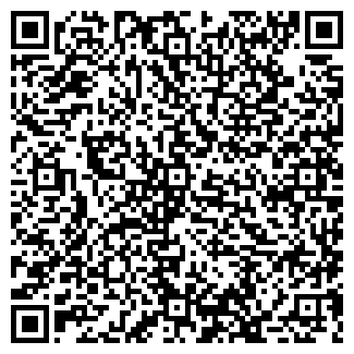 QR-код с контактной информацией организации Camelot