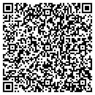 QR-код с контактной информацией организации Молния, ДЮСШ