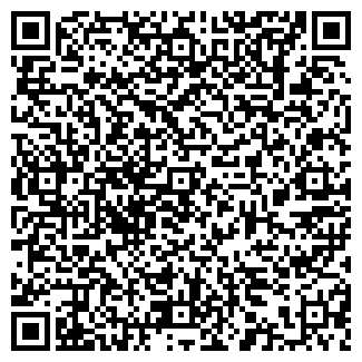 QR-код с контактной информацией организации Шинник, ДЮСШ