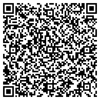 QR-код с контактной информацией организации ИП Алымов С.В.