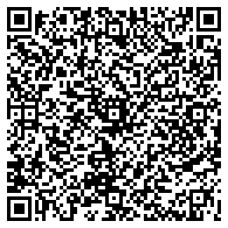 QR-код с контактной информацией организации Магнит