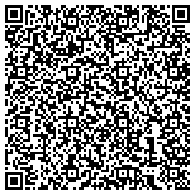 QR-код с контактной информацией организации Детская художественная школа №6 им. Акцыновых