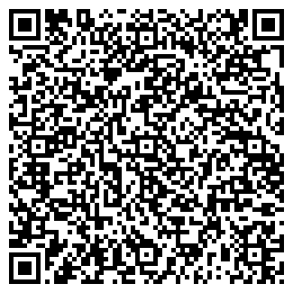 QR-код с контактной информацией организации Продуктовый магазин, ООО Чайка