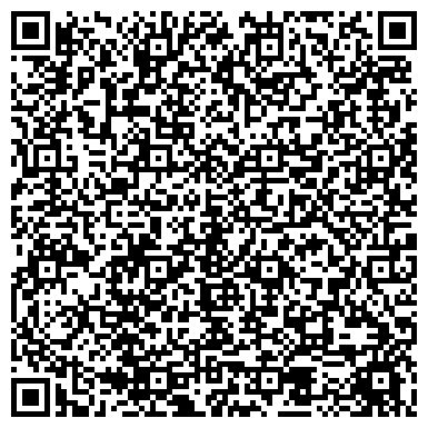 QR-код с контактной информацией организации Созвездие Близнецов