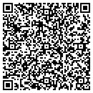QR-код с контактной информацией организации Продуктовый магазин, ООО ИВиС