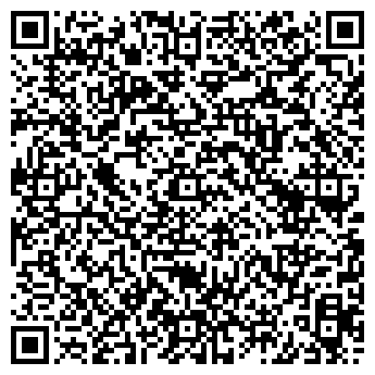 QR-код с контактной информацией организации Продовольственный магазин, ИП Чмелёв Н.Н.