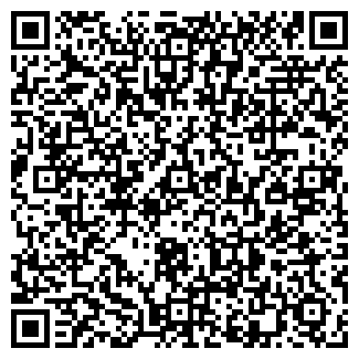 QR-код с контактной информацией организации SALT Party Room