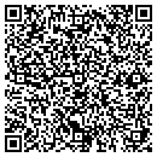 QR-код с контактной информацией организации Россия 1