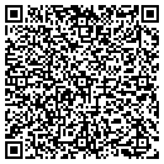 QR-код с контактной информацией организации ООО «Светлица»