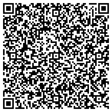 QR-код с контактной информацией организации ИП Николаева Л.Н.