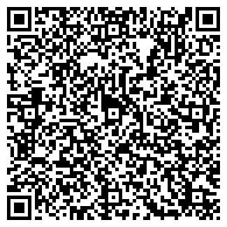 QR-код с контактной информацией организации Домино