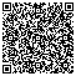QR-код с контактной информацией организации Леди Лю