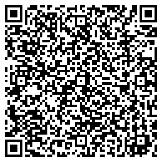 QR-код с контактной информацией организации ООО Алвир