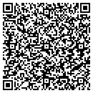 QR-код с контактной информацией организации Дворцовая