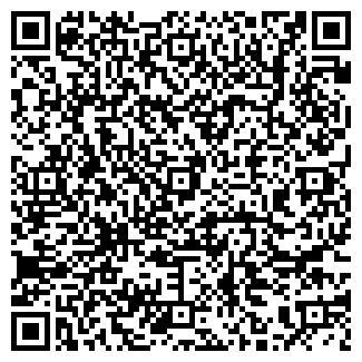 QR-код с контактной информацией организации ВОЛЬСКАЯ ДШИ