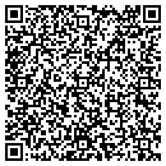 QR-код с контактной информацией организации ИП Смолкин В.В.