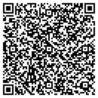 QR-код с контактной информацией организации Фламинго