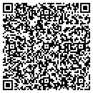 QR-код с контактной информацией организации Колизей