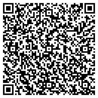 QR-код с контактной информацией организации ВАСИС, ООО