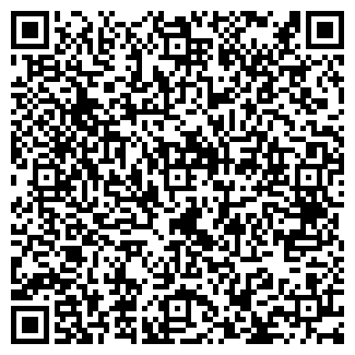 QR-код с контактной информацией организации № 2 ДШИ МДОУ