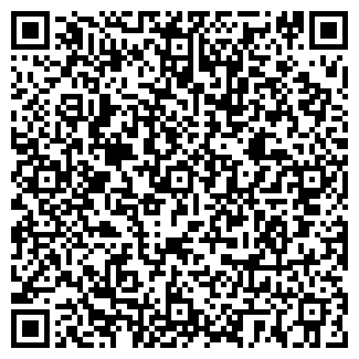 QR-код с контактной информацией организации ТОПОЛЬ О.А., ЧП