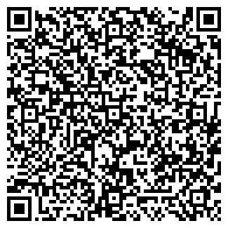 QR-код с контактной информацией организации Лампа Алладина
