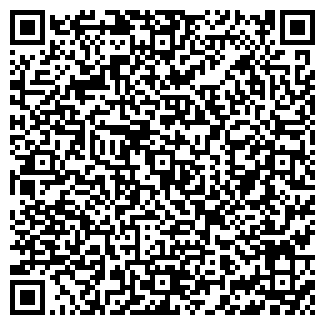 QR-код с контактной информацией организации ИП Рузавин А.В.