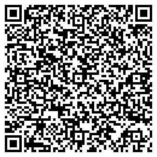 QR-код с контактной информацией организации ИП Аникин Е.Н.