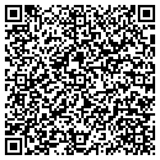 QR-код с контактной информацией организации ИП Алексеев А.Т.