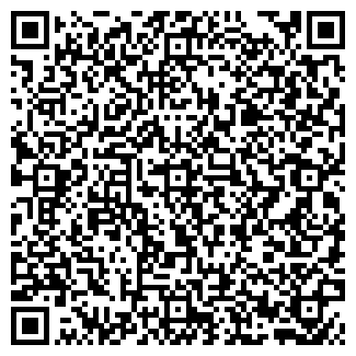 QR-код с контактной информацией организации ООО Алви