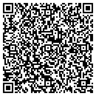 QR-код с контактной информацией организации Всякая-всячина