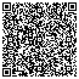 QR-код с контактной информацией организации СВЕТЛАНА-ТУР