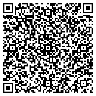 QR-код с контактной информацией организации ООО ИстАуди.ру