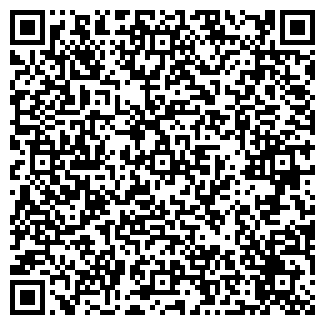 QR-код с контактной информацией организации ИП Наумова В.Г.
