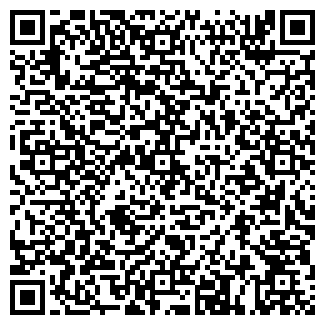 QR-код с контактной информацией организации ЛЕВИН В.Л., ИП
