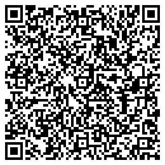QR-код с контактной информацией организации ХОЛОДОВ Н.И., ЧП