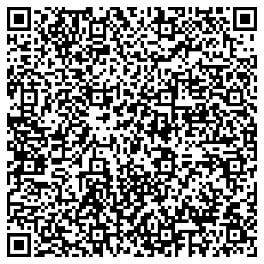QR-код с контактной информацией организации ИП Снегирев А.В.