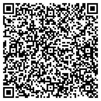 QR-код с контактной информацией организации ИП Киргинцев Е.Л.