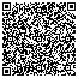 QR-код с контактной информацией организации ИП Шамьенов Х.А.