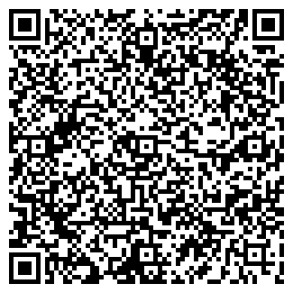 QR-код с контактной информацией организации ИП Алиев Н.С.