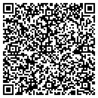 QR-код с контактной информацией организации ИП Диденко А.И.