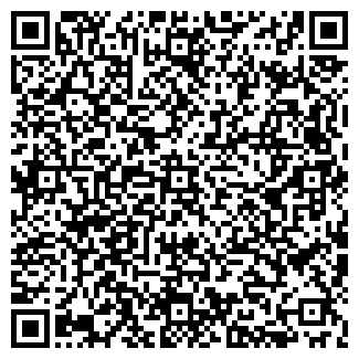 QR-код с контактной информацией организации ВАСИЛИСА