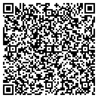 QR-код с контактной информацией организации РИТЦА, ЧП