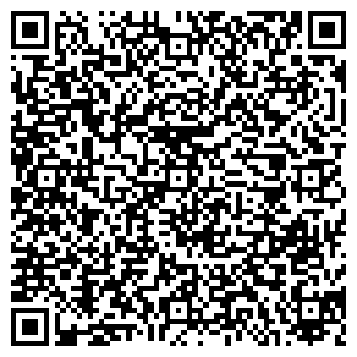 QR-код с контактной информацией организации ВЛАДИС, ЧП