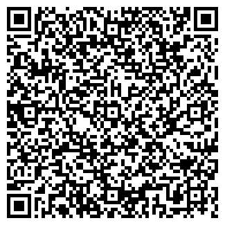 QR-код с контактной информацией организации ИП Иляскина Л.Г.