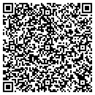 QR-код с контактной информацией организации ИП Бакай В.И.