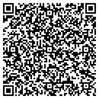 QR-код с контактной информацией организации ИП Чеченев В.Ф.