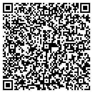 QR-код с контактной информацией организации ООО Скайлайн